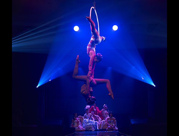 Aerialists Brisbane - Trapeze Artists - Aerial Entertainment